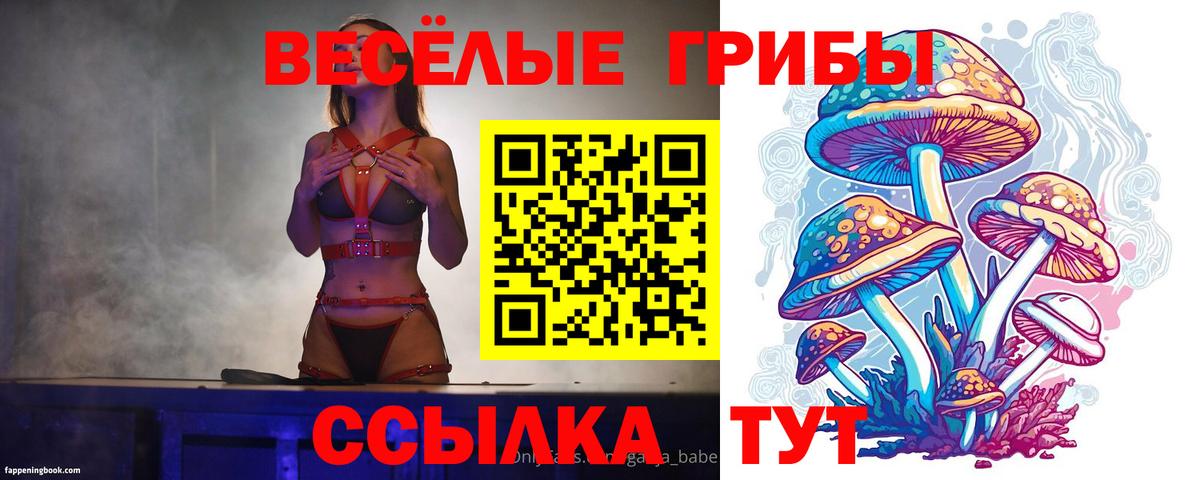 Псилоцибиновые грибы MAGIC MUSHROOMS  Вход с VPN  Россошь 