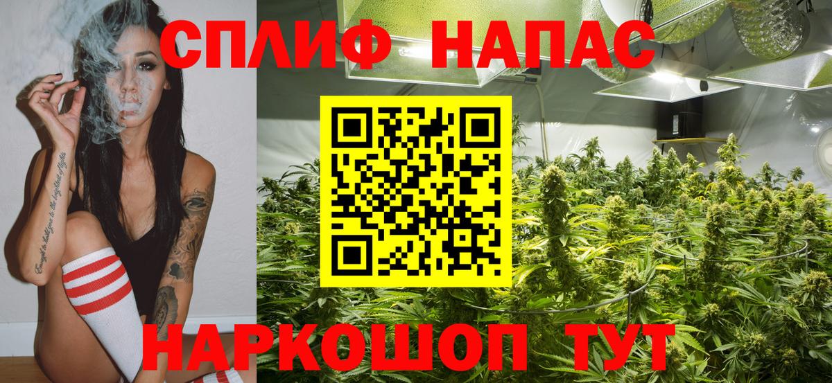 Канабис тримм  Шишки марихуана ГИДРОПОН  Бошки Шишки планчик  Марихуана гибрид  Вход с VPN  Россошь 